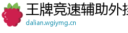 王牌竞速辅助外挂使用心得